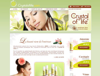Crystal Of Life
